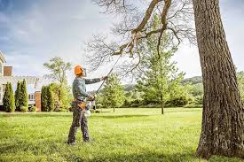 Best Storm Damage Tree Cleanup  in Cheviot, OH